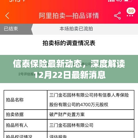 信泰保险最新动态解读，深度剖析12月22日最新消息