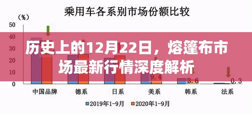 熔篷布市场最新行情深度解析，历史视角的12月22日回顾