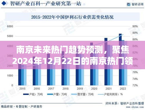 南京未来趋势展望，聚焦热门领域发展预测至2024年12月22日