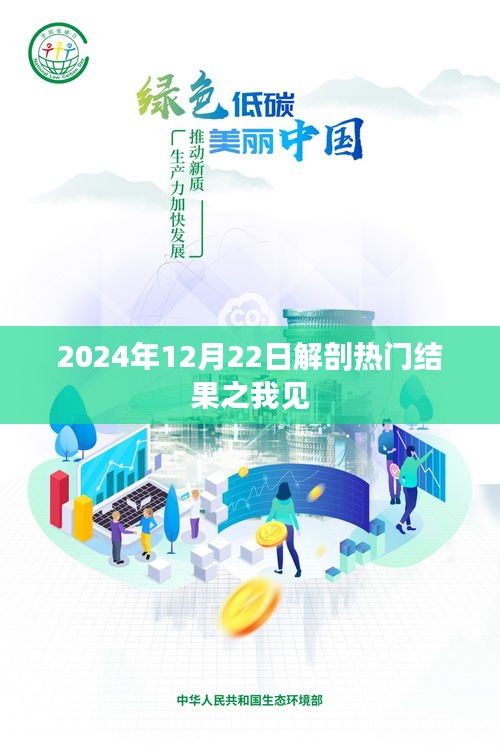 2024年热门解剖结果深度解析，我的见解与观点