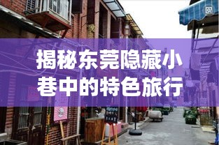 东莞隐藏小巷特色旅行社揭秘，超值旅行报价来袭！