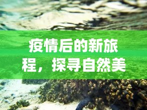 心灵重生之旅，探寻自然美景，启程于疫情后的新旅程（2024年12月22日）