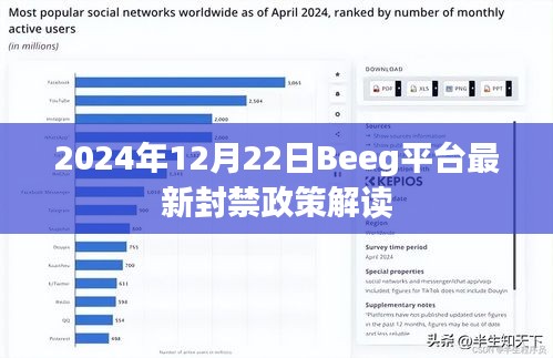 2024年12月 第53页