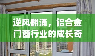 逆风翻涌中的成长奇迹，铝合金门窗行业的学习、变革与自信之路