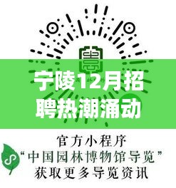 宁陵县12月招聘热潮背后的故事与影响探寻热门岗位揭秘