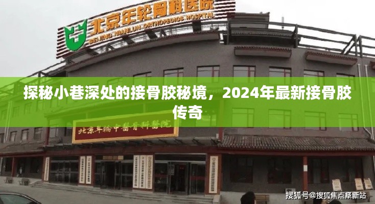 探秘小巷深处的接骨胶秘境，揭秘2024年最新接骨胶传奇故事