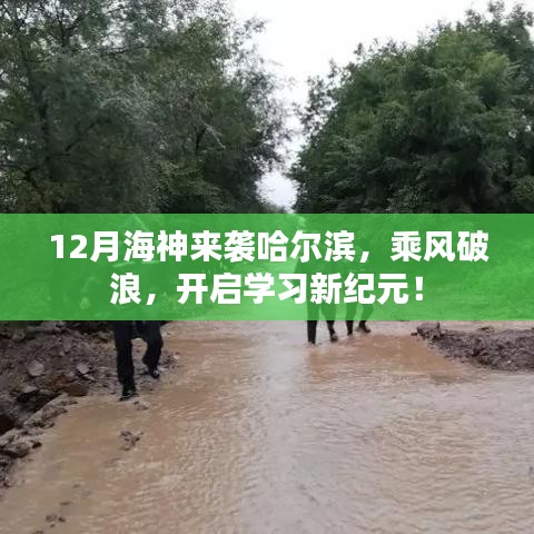 哈尔滨迎海神来袭，乘风破浪掀起学习热潮