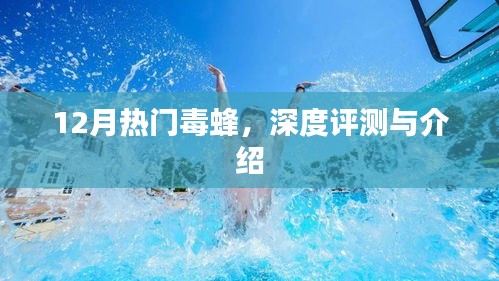 12月热门毒蜂，深度测评与全面介绍