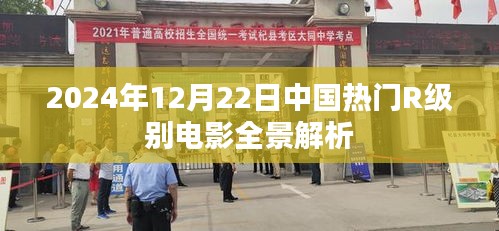 中国热门R级别电影全景解析（2024年深度报告）