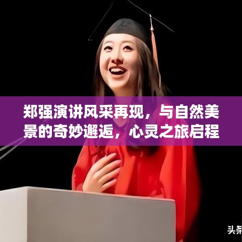 郑强演讲与自然美景的奇妙交融，心灵之旅的启示