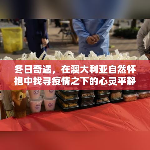 澳大利亚冬日奇遇，疫情之下的自然怀抱心灵之旅