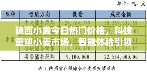 陕西小麦热门价格与科技重塑市场，智能体验引领小麦产业未来