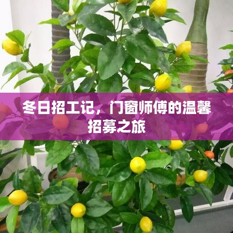 第299页