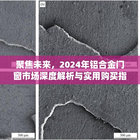 聚焦未来，2024年铝合金门窗市场深度解析与购买指南