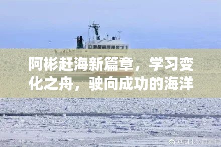 阿彬赶海励志之旅，驶向成功的海洋，新篇章下的变化之舟