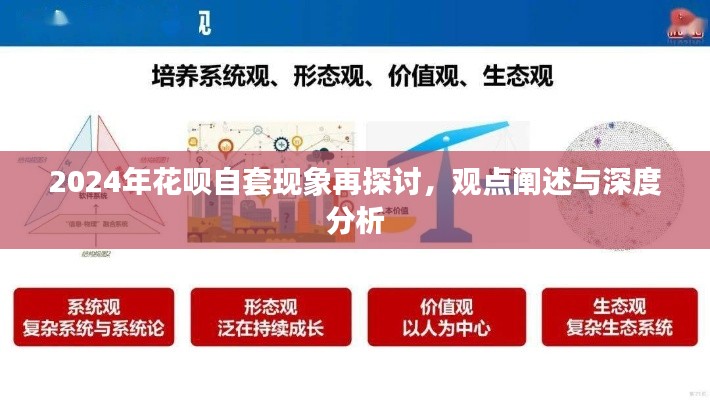 2024年花呗自套现象深度探讨，观点阐述与全面分析