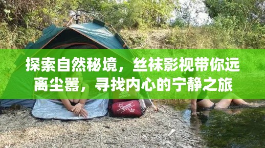 丝袜影视带你探索自然秘境，寻找内心的宁静之旅