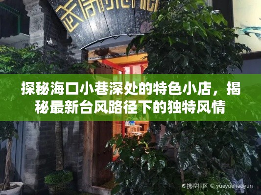 海口小巷特色小店与台风影响下的独特风情揭秘