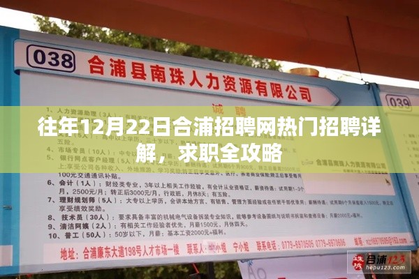 合浦招聘网热门职位详解与求职全攻略，历年12月22日概览