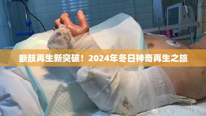 断肢再生取得新突破，神奇再生之旅启程于2024年冬日