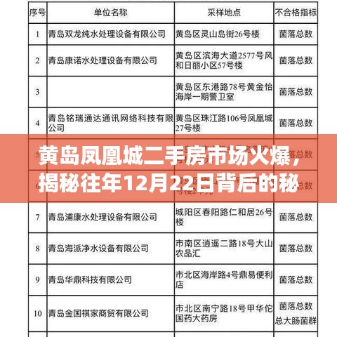 揭秘黄岛凤凰城二手房市场火爆背后的秘密，揭秘往年12月22日的秘密事件！