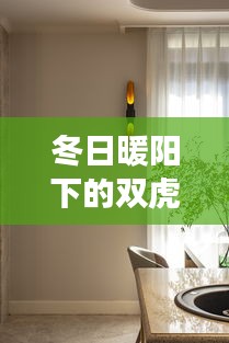 冬日暖阳下的双虎门窗，友情、家庭与爱的温馨交汇