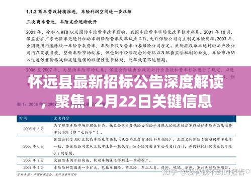 怀远县最新招标公告深度解读，聚焦关键信息，把握最新动态