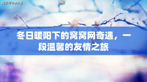 冬日暖阳下的窝窝网，温馨的友情之旅