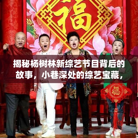 杨树林新综艺节目探秘，小巷深处的宝藏，2024年12月22日揭晓背后故事！