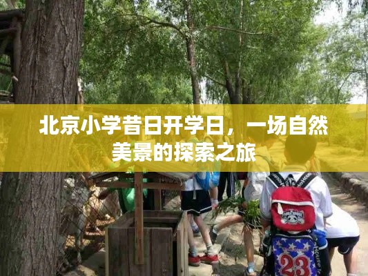 北京小学开学日探索自然美景之旅