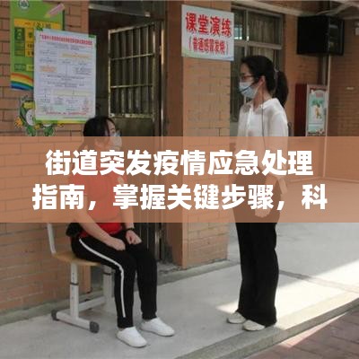 街道突发疫情应急处理指南，掌握关键步骤，科学应对疫情！