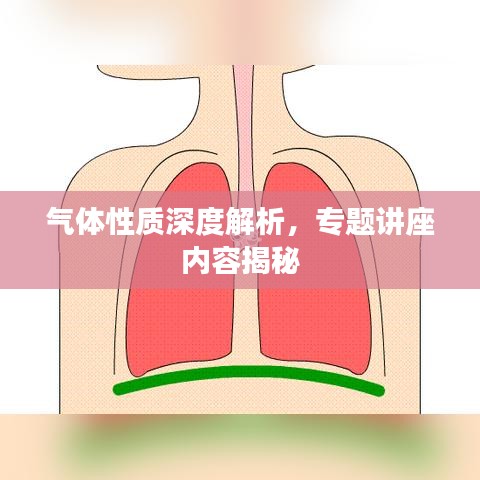 气体性质深度解析，专题讲座内容揭秘