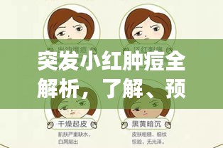 突发小红肿痘全解析，了解、预防与治疗的有效方法