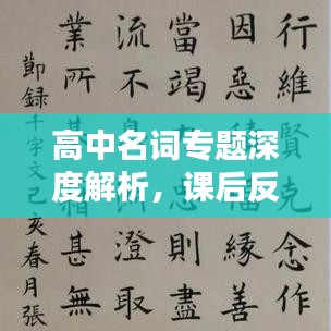 高中名词专题深度解析，课后反思与启示