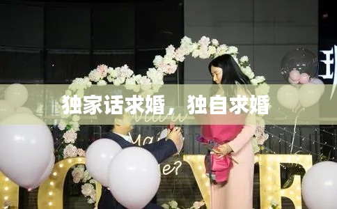 独家话求婚，独自求婚 