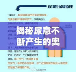 揭秘尿意不断产生的奥秘，原因、影响与应对方法