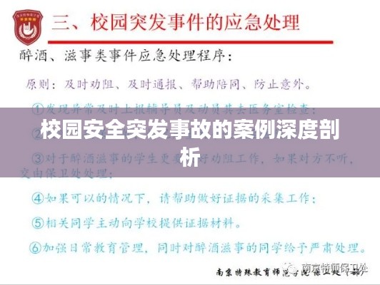 校园安全突发事故的案例深度剖析