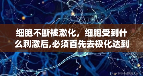 细胞不断被激化，细胞受到什么刺激后,必须首先去极化达到 