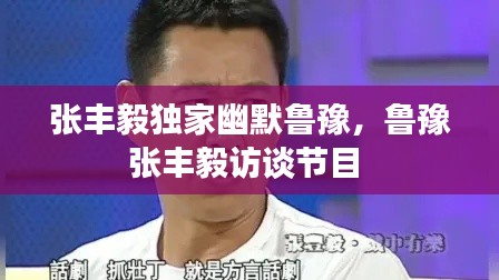 张丰毅独家幽默鲁豫，鲁豫张丰毅访谈节目 