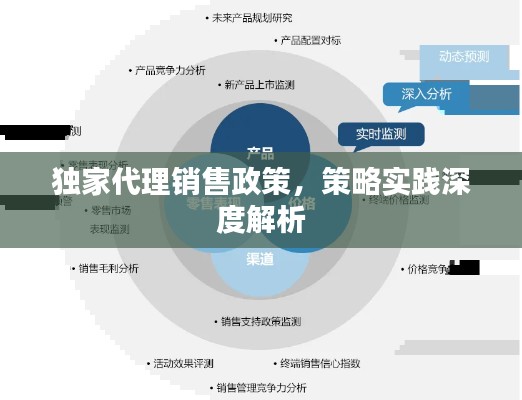 独家代理销售政策，策略实践深度解析