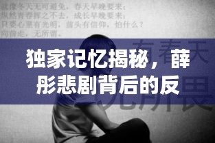 独家记忆揭秘，薛彤悲剧背后的反思