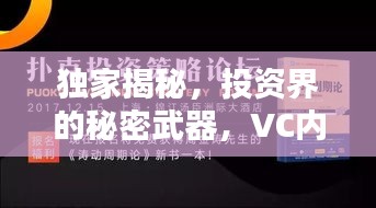 独家揭秘，投资界的秘密武器，VC内部资料曝光