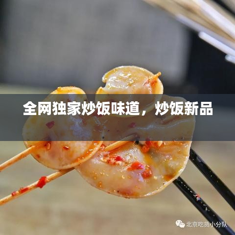 全网独家炒饭味道，炒饭新品 