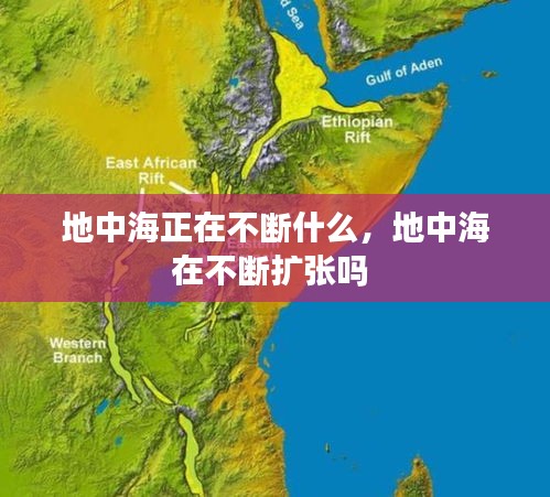 地中海正在不断什么，地中海在不断扩张吗 