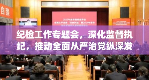 纪检工作专题会，深化监督执纪，推动全面从严治党纵深发展，强化党内监督力度