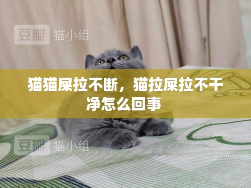 猫猫屎拉不断，猫拉屎拉不干净怎么回事 