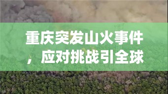 重庆突发山火事件，应对挑战引全球关注