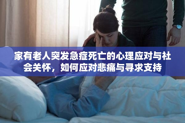 家有老人突发急症死亡的心理应对与社会关怀，如何应对悲痛与寻求支持