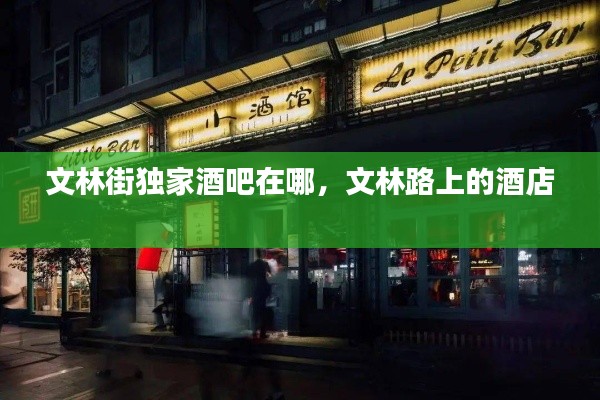 文林街独家酒吧在哪，文林路上的酒店 