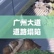 广州大道道路塌陷事件，原因揭秘与应对策略